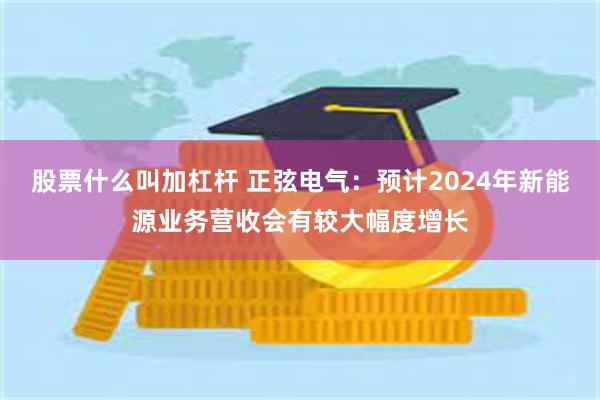 股票什么叫加杠杆 正弦电气：预计2024年新能源业务营收会有较大幅度增长