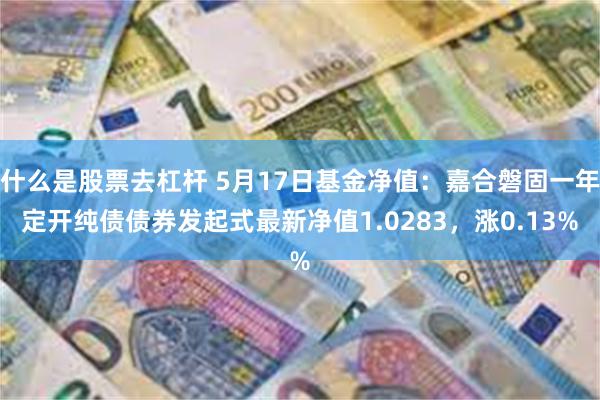 什么是股票去杠杆 5月17日基金净值：嘉合磐固一年定开纯债债券发起式最新净值1.0283，涨0.13%