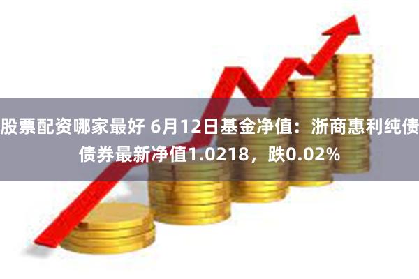 股票配资哪家最好 6月12日基金净值：浙商惠利纯债债券最新净值1.0218，跌0.02%