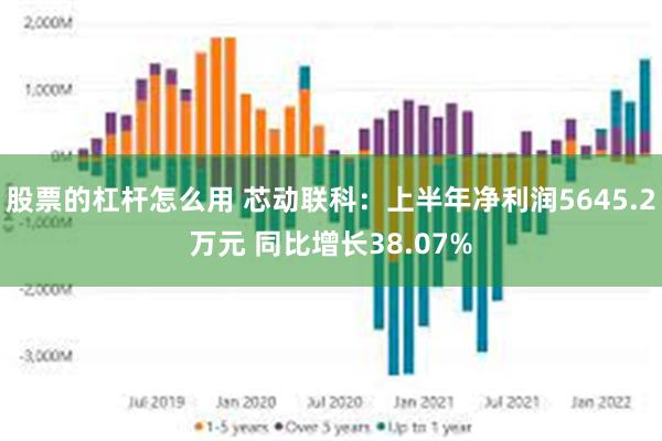 股票的杠杆怎么用 芯动联科：上半年净利润5645.2万元 同比增长38.07%