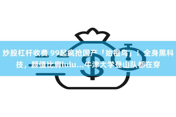 炒股杠杆收费 99起疯抢国产「始祖鸟」！全身黑科技，颜值比肩lulu...牛津大学登山队都在穿