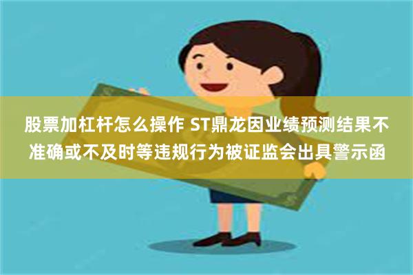 股票加杠杆怎么操作 ST鼎龙因业绩预测结果不准确或不及时等违规行为被证监会出具警示函