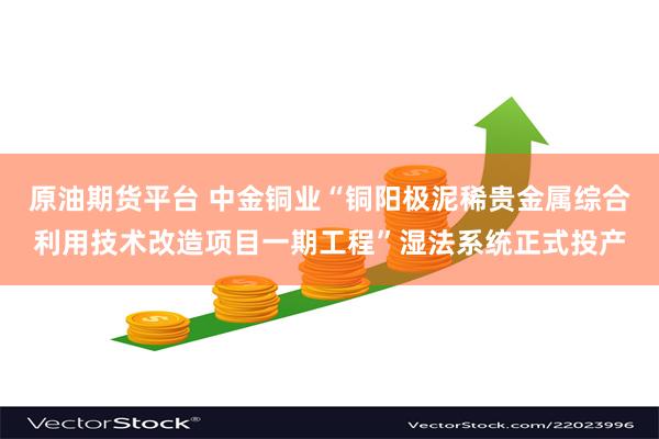 原油期货平台 中金铜业“铜阳极泥稀贵金属综合利用技术改造项目一期工程”湿法系统正式投产