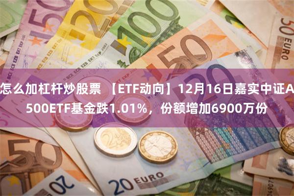 怎么加杠杆炒股票 【ETF动向】12月16日嘉实中证A500ETF基金跌1.01%，份额增加6900万份