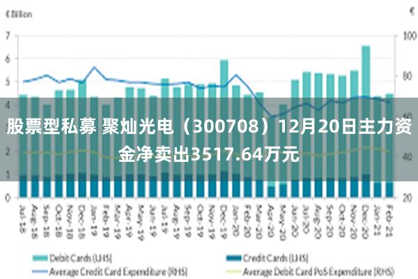 股票型私募 聚灿光电（300708）12月20日主力资金净卖出3517.64万元