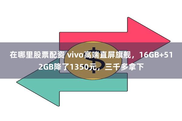 在哪里股票配资 vivo高端直屏旗舰，16GB+512GB降了1350元，三千多拿下