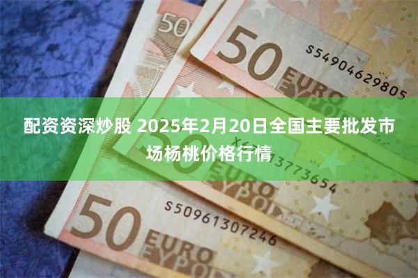 配资资深炒股 2025年2月20日全国主要批发市场杨桃价格行情